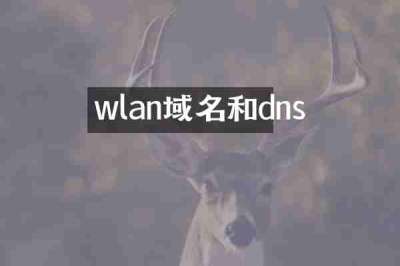 wlan域名和dns