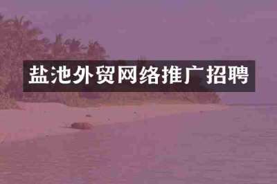盐池外贸网络推广招聘