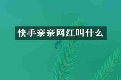快手亲亲网红叫什么