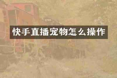 快手直播宠物怎么操作