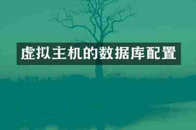 虚拟主机的数据库配置