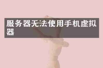 服务器无法使用手机虚拟器