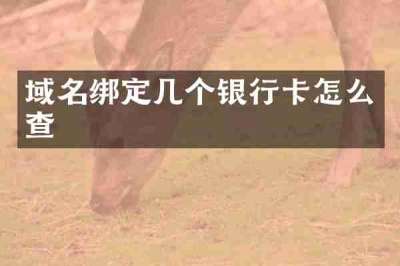 域名绑定几个银行卡怎么查