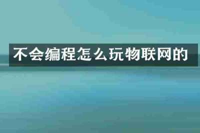 不会编程怎么玩物联网的