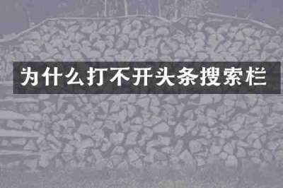为什么打不开头条搜索栏