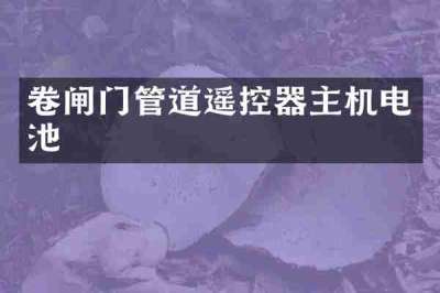 卷闸门管道遥控器主机电池