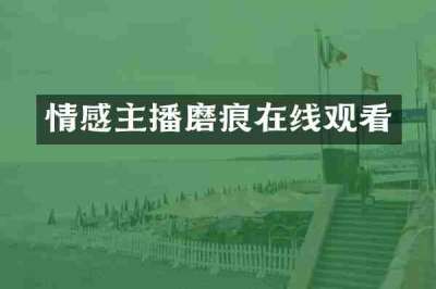 情感主播磨痕在线观看
