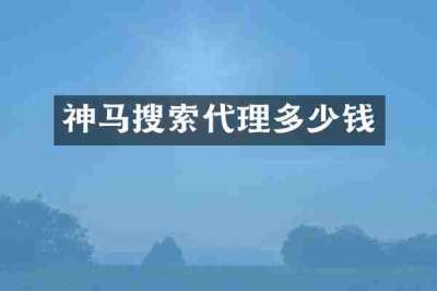 神马搜索代理多少钱