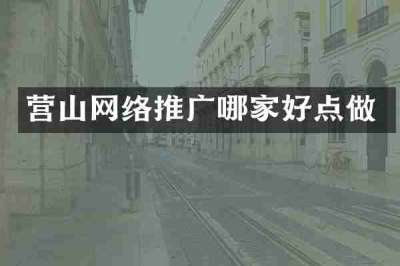 营山网络推广哪家好点做