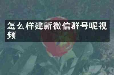 怎么样建新微信群号呢视频