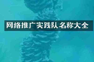 网络推广实践队名称大全