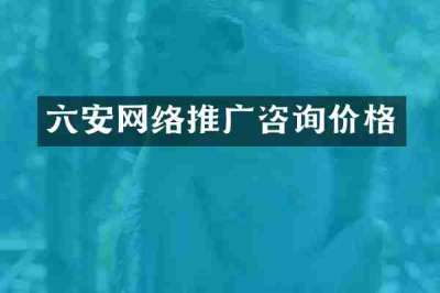 六安网络推广咨询价格