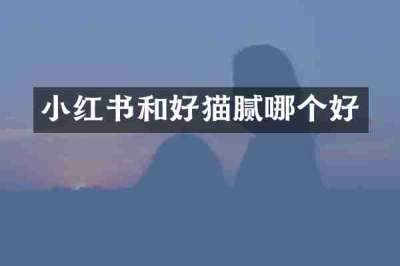 小红书和好猫腻哪个好