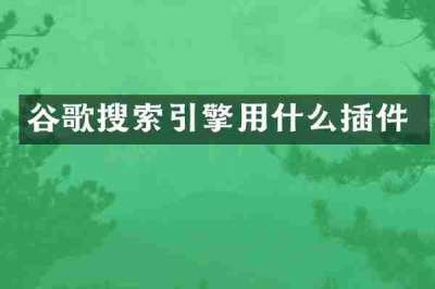 谷歌搜索引擎用什么插件