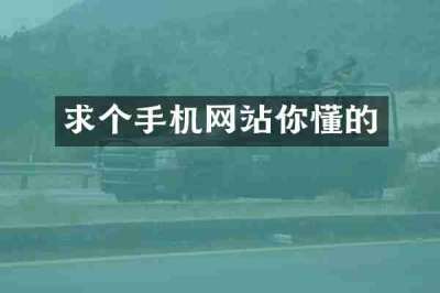 求个手机网站你懂的