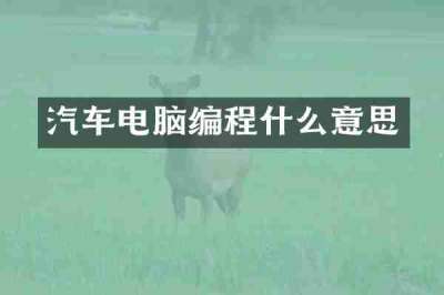 汽车电脑编程什么意思
