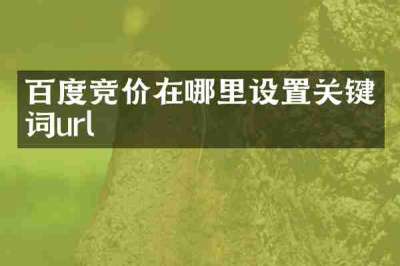 百度竞价在哪里设置关键词url