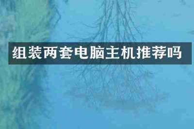 组装两套电脑主机推荐吗
