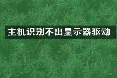 主机识别不出显示器驱动