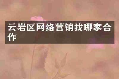 云岩区网络营销找哪家合作