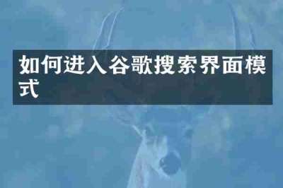 如何进入谷歌搜索界面模式