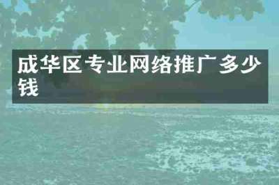 成华区专业网络推广多少钱