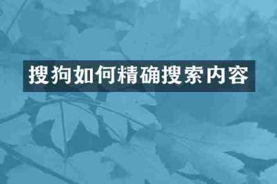 搜狗如何精确搜索内容