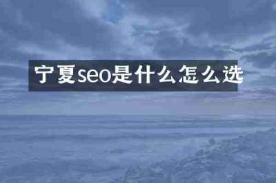 宁夏seo是什么怎么选