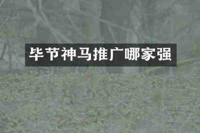 毕节神马推广哪家强