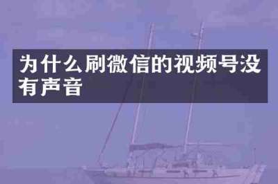为什么刷微信的视频号没有声音