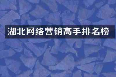 湖北网络营销高手排名榜
