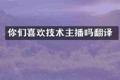 你们喜欢技术主播吗翻译