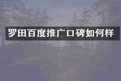 罗田百度推广口碑如何样