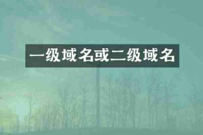 一级域名或二级域名