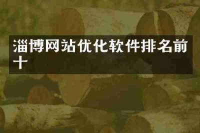 淄博网站优化软件排名前十