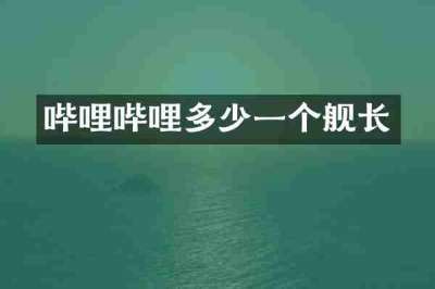 哔哩哔哩多少一个舰长