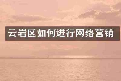 云岩区如何进行网络营销