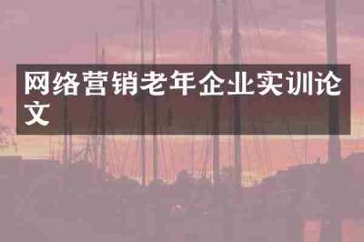 网络营销老年企业实训论文