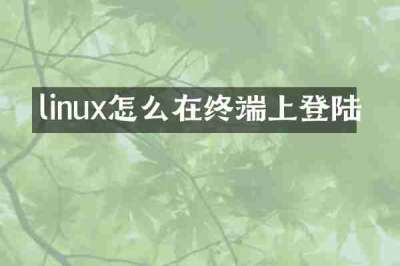 linux怎么在终端上登陆