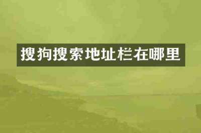 搜狗搜索地址栏在哪里