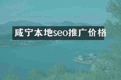 咸宁本地seo推广价格