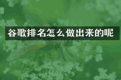 谷歌排名怎么做出来的呢