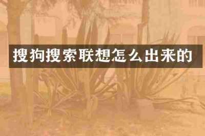 搜狗搜索联想怎么出来的