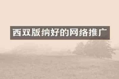 西双版纳好的网络推广