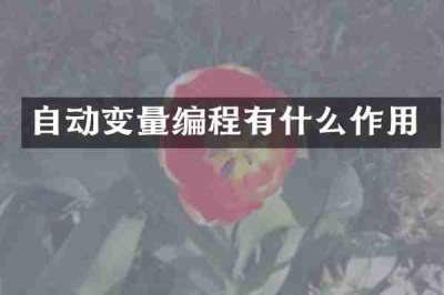 自动变量编程有什么作用