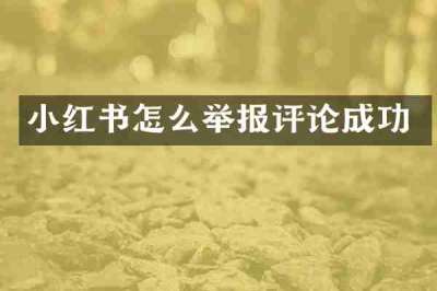 小红书怎么举报评论成功