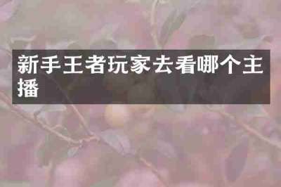 新手王者玩家去看哪个主播