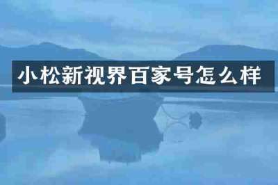小松新视界百家号怎么样