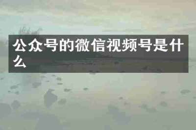 公众号的微信视频号是什么