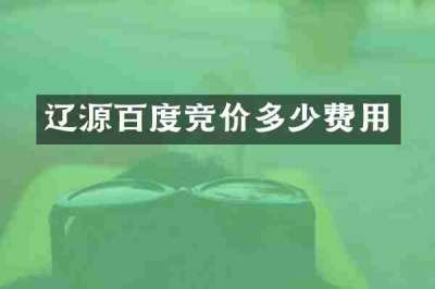 辽源百度竞价多少费用